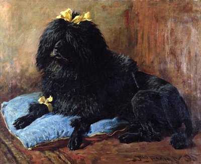 A Black Standard Poodle on a Blue Cushion, 1895 by John Emms